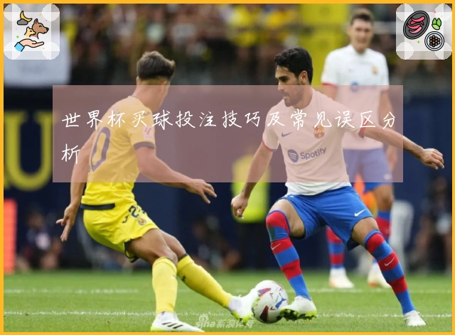 世界杯买球投注技巧及常见误区分析
