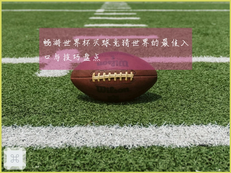 畅游世界杯买球竞猜世界的最佳入口与技巧盘点