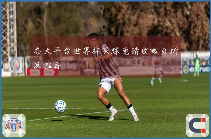 各大平台世界杯买球竞猜攻略分析及推荐