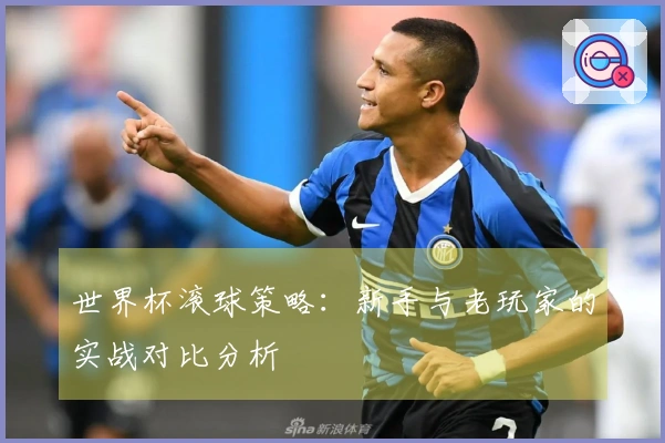 世界杯滚球策略：新手与老玩家的实战对比分析