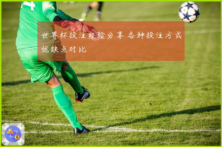 世界杯投注经验分享 各种投注方式优缺点对比