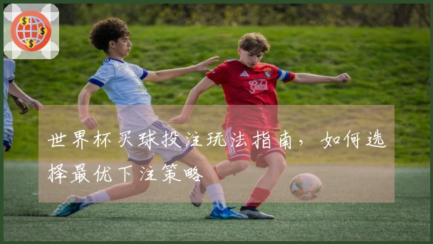 世界杯买球投注玩法指南，如何选择最优下注策略