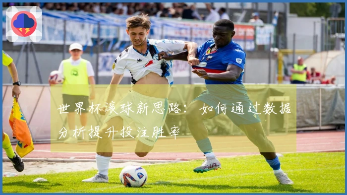 世界杯滚球新思路：如何通过数据分析提升投注胜率