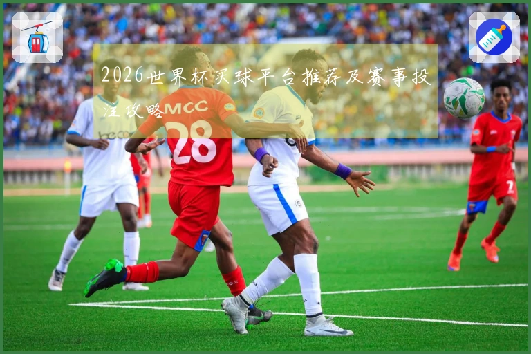 2026世界杯买球平台推荐及赛事投注攻略