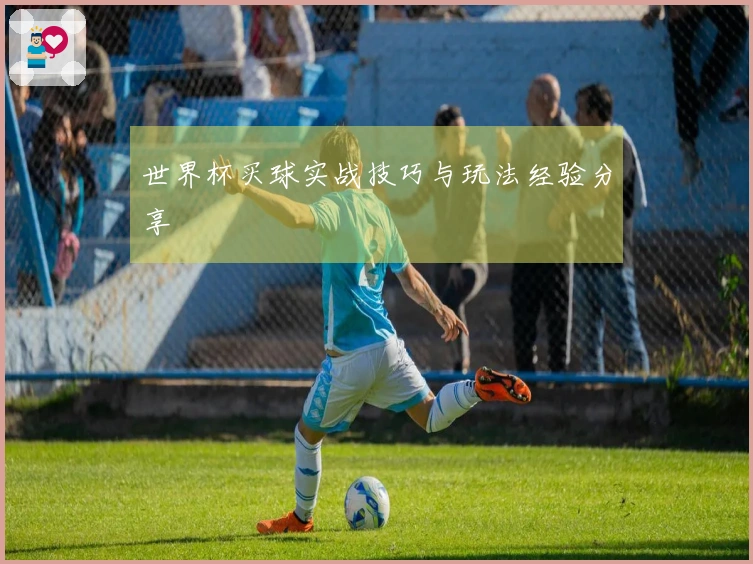 世界杯买球实战技巧与玩法经验分享