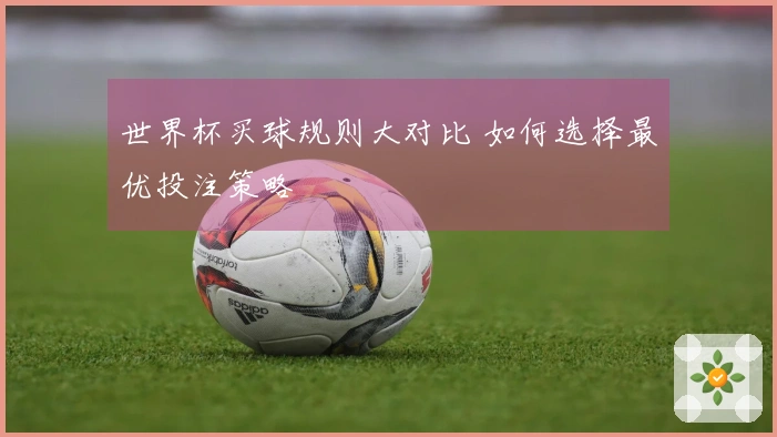 世界杯买球规则大对比 如何选择最优投注策略