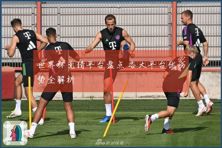 世界杯竞猜平台盘点 各大平台优劣势全解析