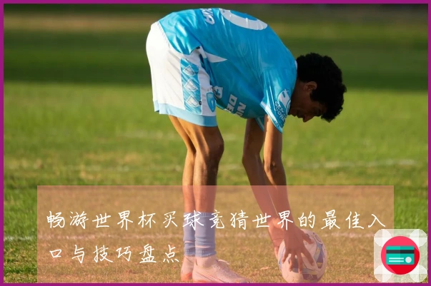 畅游世界杯买球竞猜世界的最佳入口与技巧盘点