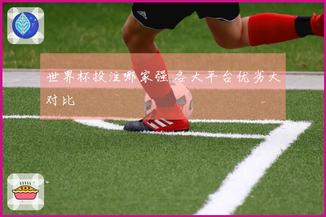 世界杯投注哪家强 各大平台优劣大对比