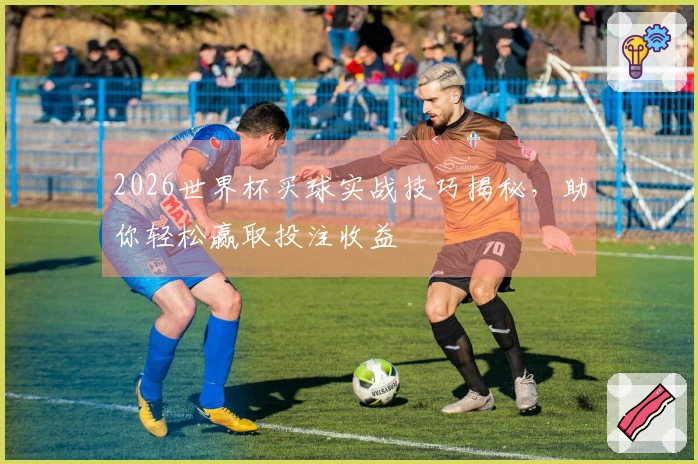 2026世界杯买球实战技巧揭秘，助你轻松赢取投注收益
