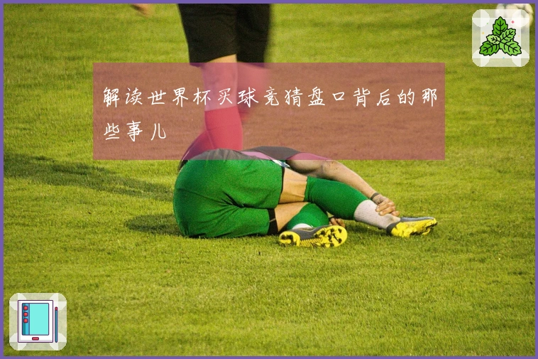 解读世界杯买球竞猜盘口背后的那些事儿