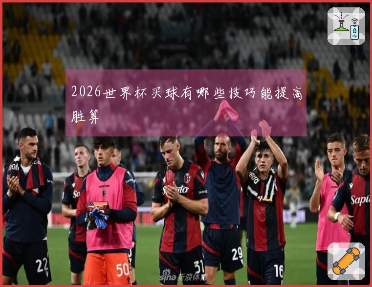 2026世界杯买球有哪些技巧能提高胜算