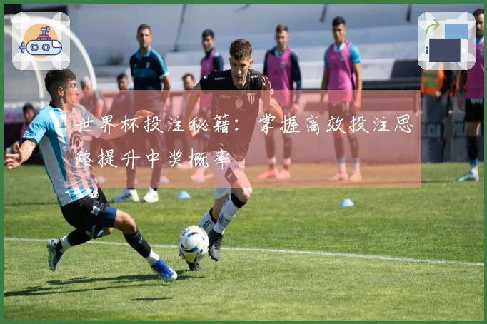 世界杯投注秘籍：掌握高效投注思路提升中奖概率