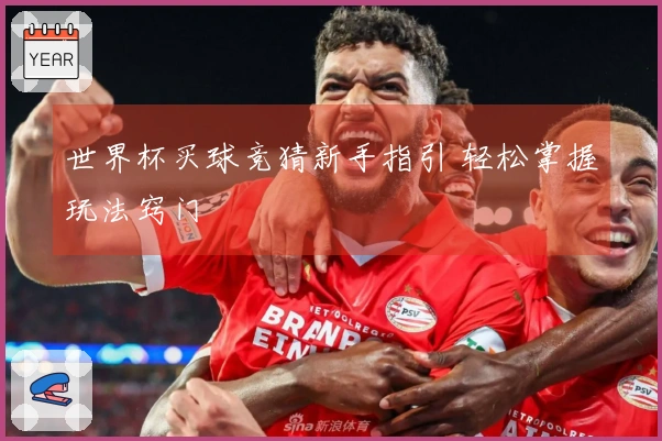世界杯买球竞猜新手指引 轻松掌握玩法窍门