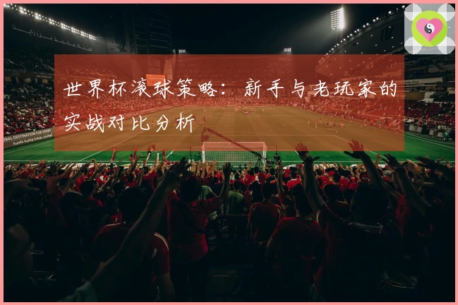 世界杯滚球策略：新手与老玩家的实战对比分析
