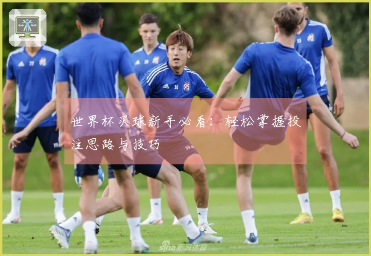 世界杯买球新手必看：轻松掌握投注思路与技巧