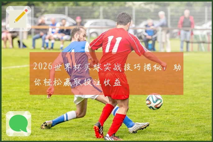 2026世界杯买球实战技巧揭秘，助你轻松赢取投注收益