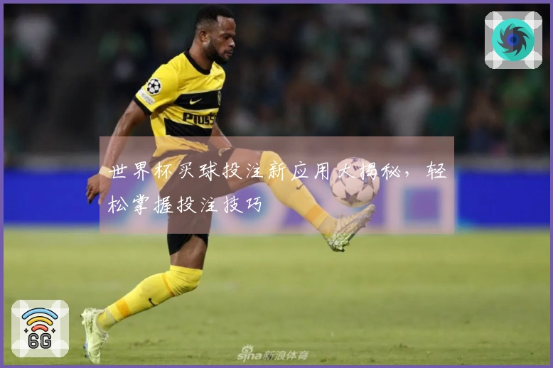 世界杯买球投注新应用大揭秘，轻松掌握投注技巧