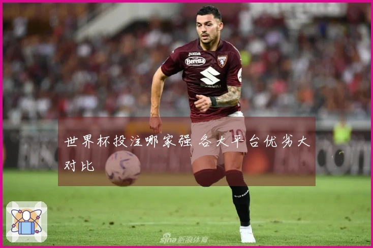 世界杯投注哪家强 各大平台优劣大对比