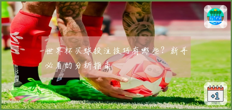 世界杯买球投注技巧有哪些？新手必看的分析指南