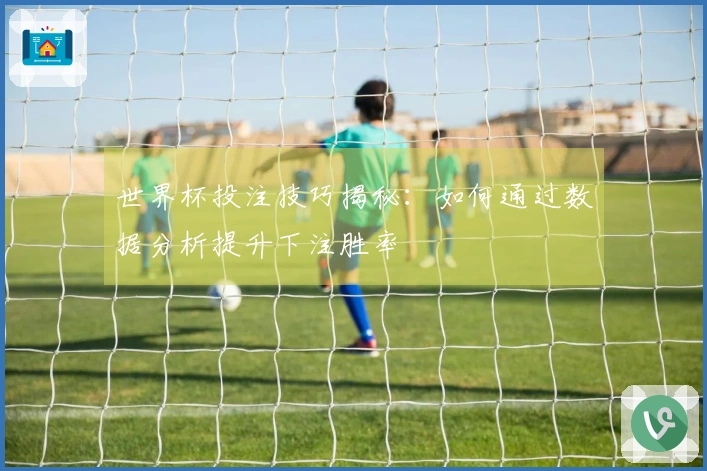 世界杯投注技巧揭秘：如何通过数据分析提升下注胜率