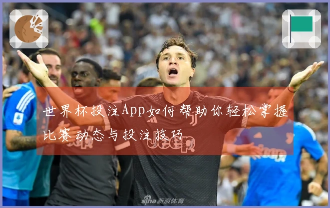 世界杯投注App如何帮助你轻松掌握比赛动态与投注技巧