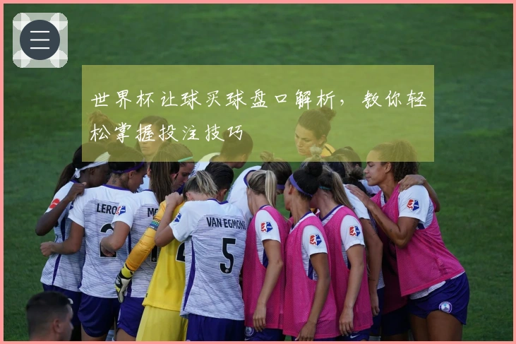 世界杯让球买球盘口解析，教你轻松掌握投注技巧