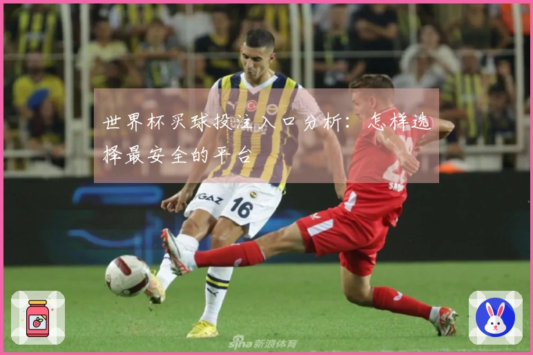 世界杯买球投注入口分析：怎样选择最安全的平台