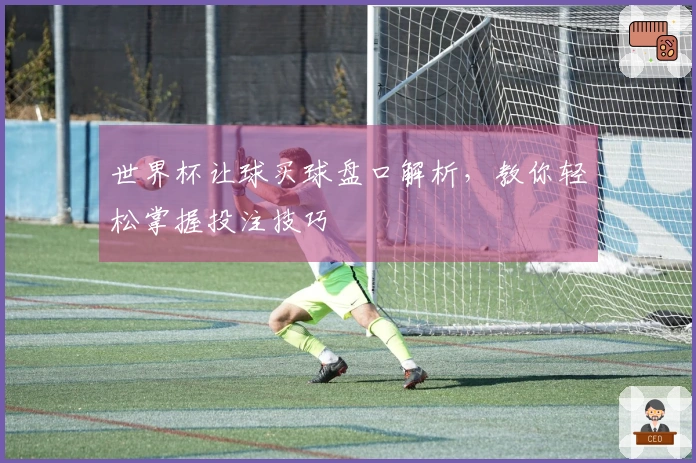 世界杯让球买球盘口解析，教你轻松掌握投注技巧